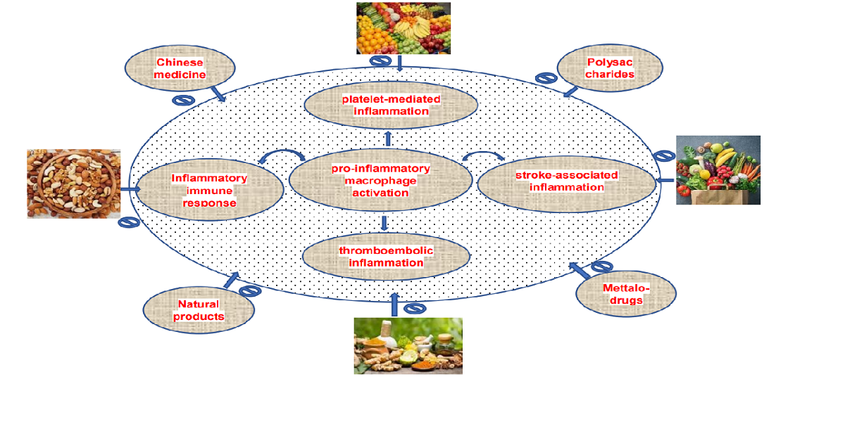 Graphical abstract